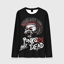 Мужской лонгслив Punks not dead - анархия