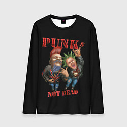 Лонгслив мужской Punks Not Dead - панки хой, цвет: 3D-принт