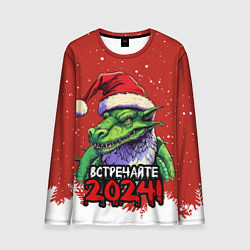 Мужской лонгслив Встречайте 2024 год зеленого дракона