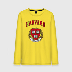 Лонгслив хлопковый мужской Harvard university цвета желтый — фото 1