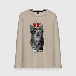 Мужской лонгслив Meow kitten