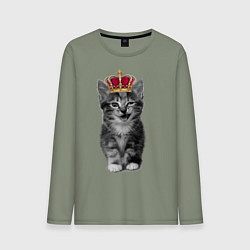 Мужской лонгслив Meow kitten