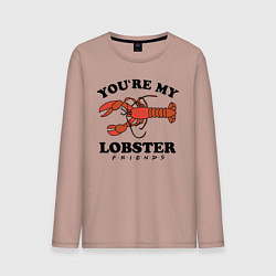 Лонгслив хлопковый мужской Youre my Lobster, цвет: пыльно-розовый