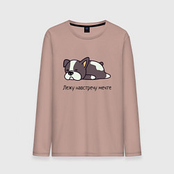 Мужской лонгслив Навстречу мечте