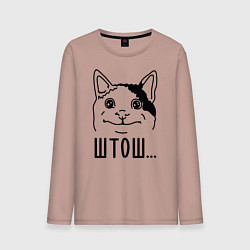 Мужской лонгслив Штош Вежливый котик мем