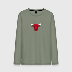 Мужской лонгслив CHICAGO BULLS