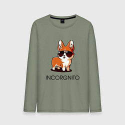 Мужской лонгслив ИНКОРГНИТО