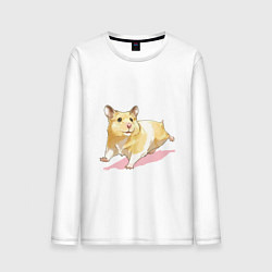 Мужской лонгслив Бегущий хомячек рисунок