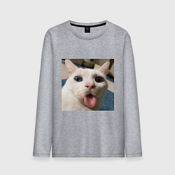 Мужской лонгслив Мем про кота