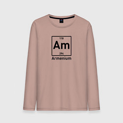Мужской лонгслив Am -Armenium