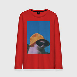 Мужской лонгслив Котик в шляпе и очках