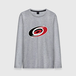 Мужской лонгслив Каролина Харрикейнз логотип