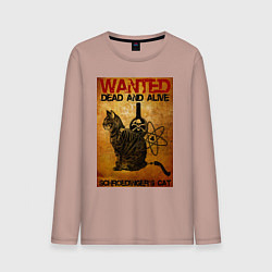 Мужской лонгслив Разыскивается Кот