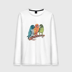 Лонгслив хлопковый мужской Три волнистых попугая на ветке, цвет: белый