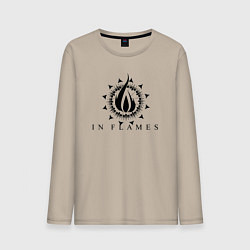 Мужской лонгслив In flames - rock
