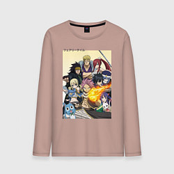 Мужской лонгслив Fairy Tail heroes