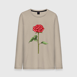 Лонгслив хлопковый мужской Роза красная, цвет: миндальный