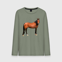 Лонгслив хлопковый мужской Теплокровная лошадка, цвет: авокадо