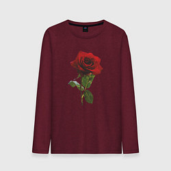 Лонгслив хлопковый мужской Красивая красная роза, цвет: меланж-бордовый