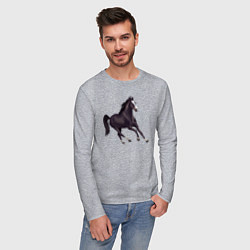 Лонгслив хлопковый мужской Марварская лошадь, цвет: меланж — фото 2