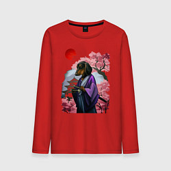 Лонгслив хлопковый мужской Такса-Самурай весенняя на фоне сакуры, цвет: красный