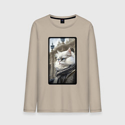 Мужской лонгслив Санкт-Петербург котик