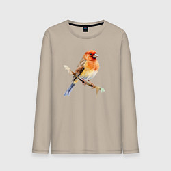 Лонгслив хлопковый мужской Оранжевая птица на ветке, цвет: миндальный