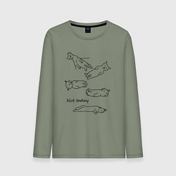 Мужской лонгслив Not today спящие коты