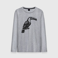 Мужской лонгслив Тукан на жердочке