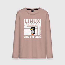 Мужской лонгслив Пингвин программист системы линукс