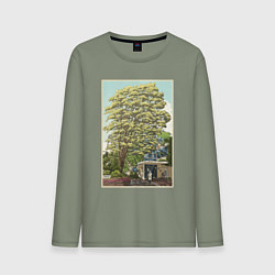 Мужской лонгслив Хаяо Миядзаки - studio ghibli