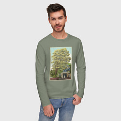 Лонгслив хлопковый мужской Хаяо Миядзаки - studio ghibli, цвет: авокадо — фото 2