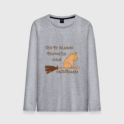 Мужской лонгслив Мем капибара на метле: фея и ведьма