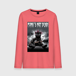 Мужской лонгслив Cool kitten - punks not dead