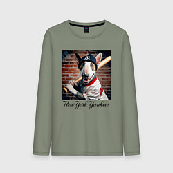Мужской лонгслив Bull terrier - New York yankees baseball team