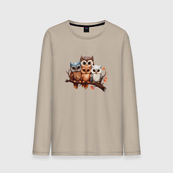 Мужской лонгслив Четыре совы на ветке