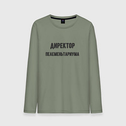 Мужской лонгслив Директор пелеменьтариума