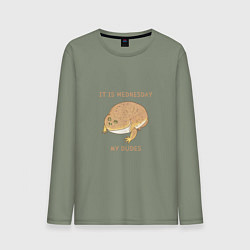 Мужской лонгслив Жаба из мема среда мои чуваки
