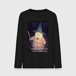 Мужской лонгслив Магический мяв кот-мем колдун