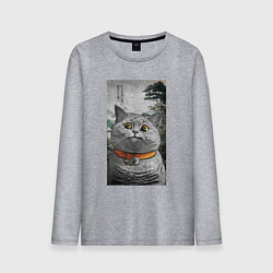 Мужской лонгслив Мемный кот в японском стиле