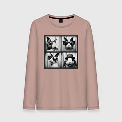 Мужской лонгслив Кролик в фотобудке