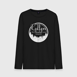 Мужской лонгслив Baseball Cullen