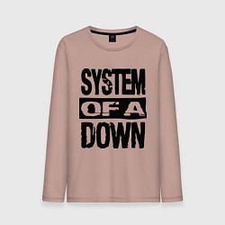 Мужской лонгслив System Of A Down