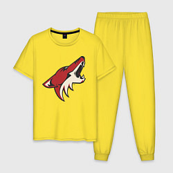 Пижама хлопковая мужская Phoenix Coyotes цвета желтый — фото 1