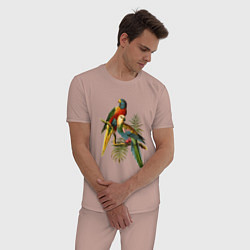 Пижама хлопковая мужская Тропические попугаи, цвет: пыльно-розовый — фото 2