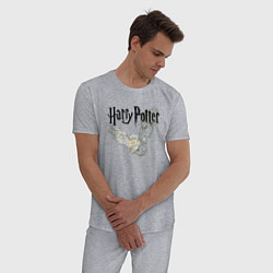 Пижама хлопковая мужская Гарри Поттер: Букля цвета меланж — фото 2