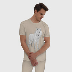 Пижама хлопковая мужская Белый волк, цвет: миндальный — фото 2