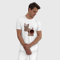 Пижама хлопковая мужская Cat Pop - Мем, цвет: белый — фото 2