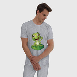Пижама хлопковая мужская Лягушка на кувшинке, цвет: меланж — фото 2