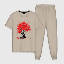 Пижама хлопковая мужская САКУРА SAKURA ВИШНЯ, цвет: миндальный